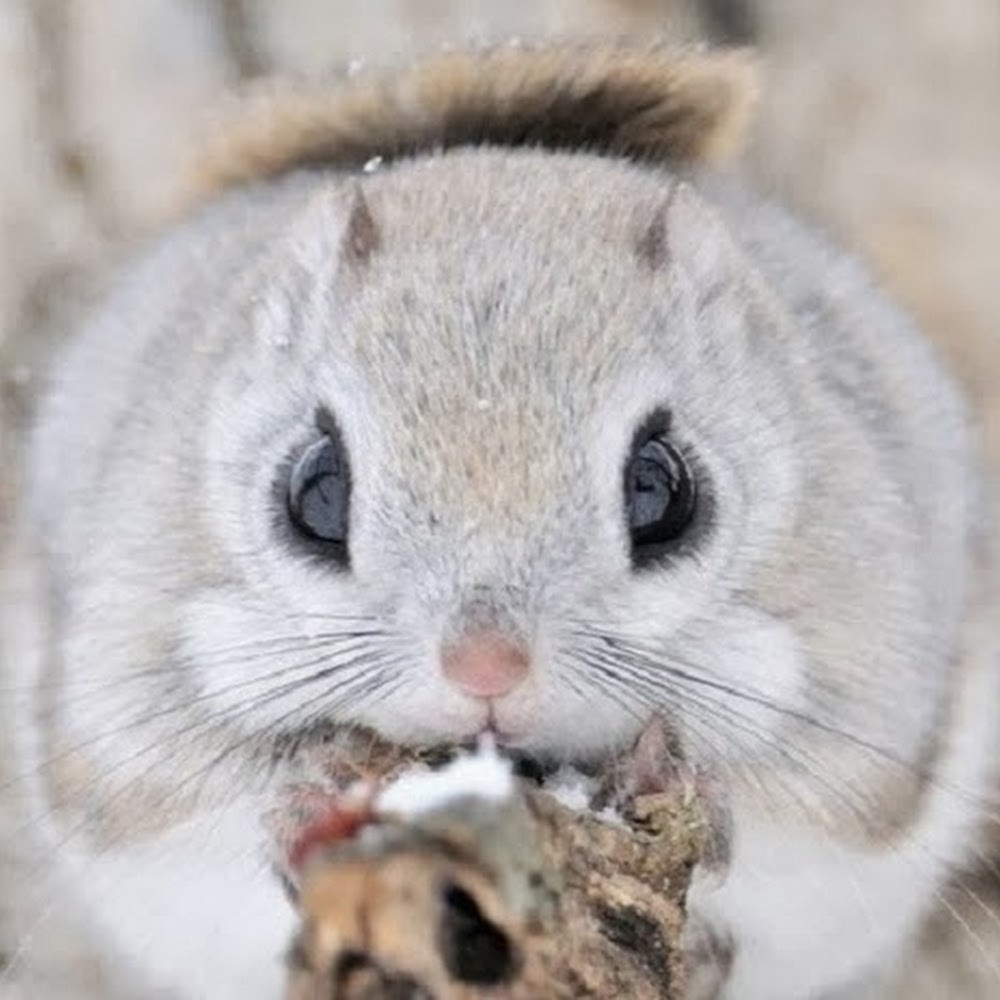 Meet your Posher, Tania